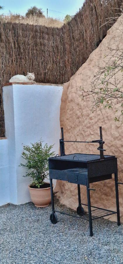 Cueva De La Higuera Villa Guadix Ngoại thất bức ảnh